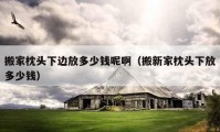 搬家枕頭下邊放多少錢(qián)呢啊（搬新家枕頭下放多少錢(qián)）